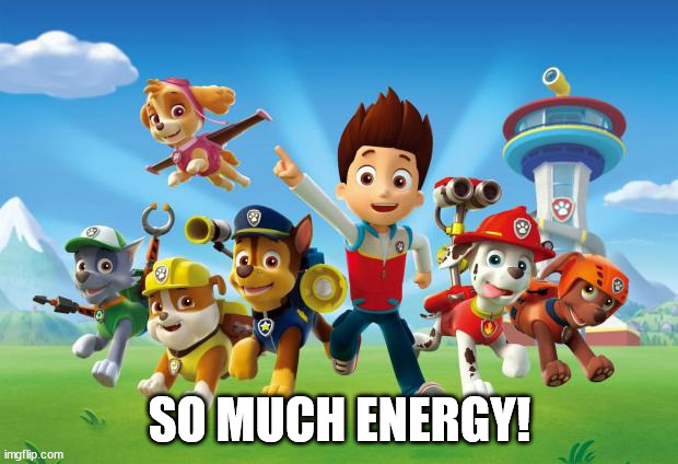Paw Patrol  | SO MUCH ENERGY! | image tagged in paw patrol | made w/ Imgflip meme maker