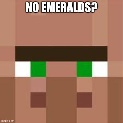 No emeralds? :) |  NO EMERALDS? | image tagged in villager | made w/ Imgflip meme maker