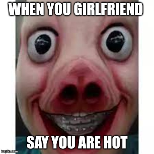 Ugly Boi | WHEN YOU GIRLFRIEND; SAY YOU ARE HOT | image tagged in funny | made w/ Imgflip meme maker