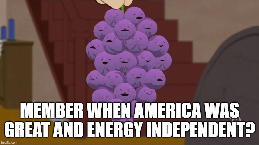 Member Berries | MEMBER WHEN AMERICA WAS GREAT AND ENERGY INDEPENDENT? | image tagged in memes,member berries,energy independence,donald trump | made w/ Imgflip meme maker