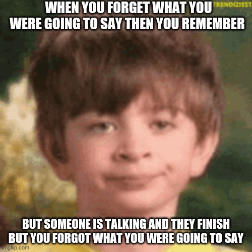 Relatable meme | WHEN YOU FORGET WHAT YOU WERE GOING TO SAY THEN YOU REMEMBER; BUT SOMEONE IS TALKING AND THEY FINISH BUT YOU FORGOT WHAT YOU WERE GOING TO SAY | image tagged in memes | made w/ Imgflip meme maker