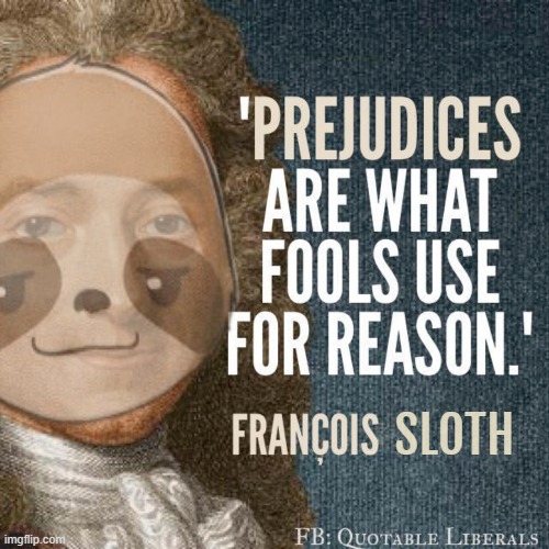 Sloth quote probably | SLOTH | image tagged in rmk,sloth alt,sloth,voltaire | made w/ Imgflip meme maker