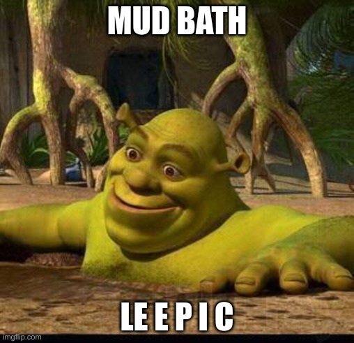 shreck |  MUD BATH; LE E P I C | image tagged in shreck | made w/ Imgflip meme maker