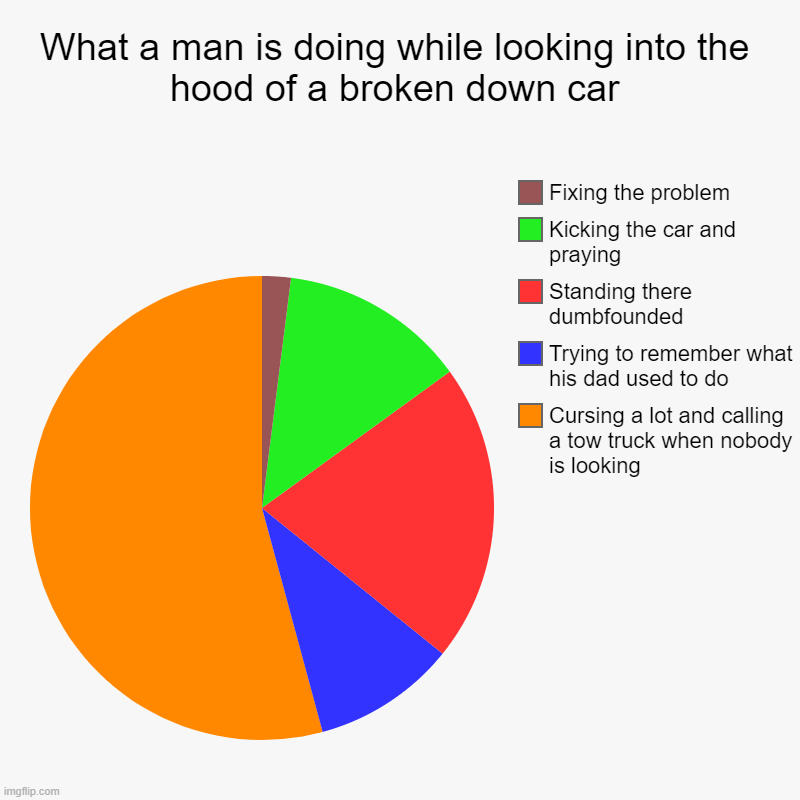 What a man is doing while looking into the hood of a broken down car | Cursing a lot and calling a tow truck when nobody is looking, Trying  | image tagged in charts,pie charts | made w/ Imgflip chart maker