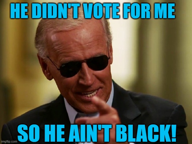 Cool Joe Biden | HE DIDN'T VOTE FOR ME SO HE AIN'T BLACK! | image tagged in cool joe biden | made w/ Imgflip meme maker