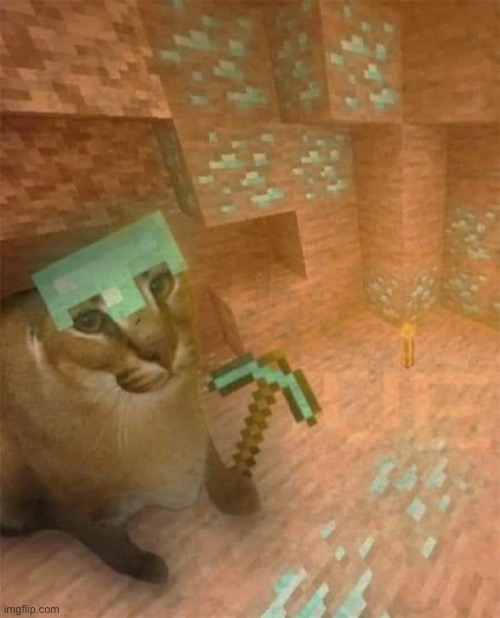 Floppa be mining da diamonds | made w/ Imgflip meme maker