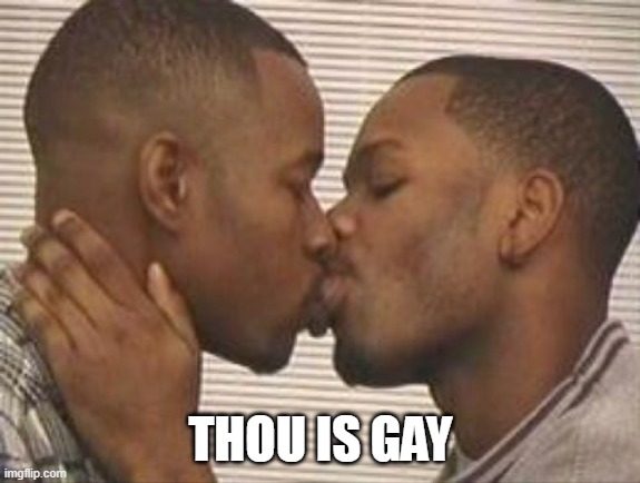2 gay black mens kissing | THOU IS GAY | image tagged in 2 gay black mens kissing | made w/ Imgflip meme maker