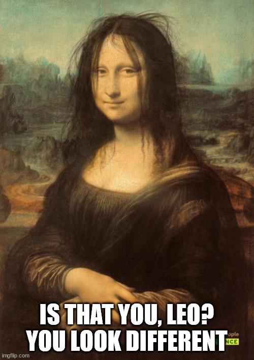 Drunk mona Lisa | IS THAT YOU, LEO? YOU LOOK DIFFERENT | image tagged in drunk mona lisa | made w/ Imgflip meme maker