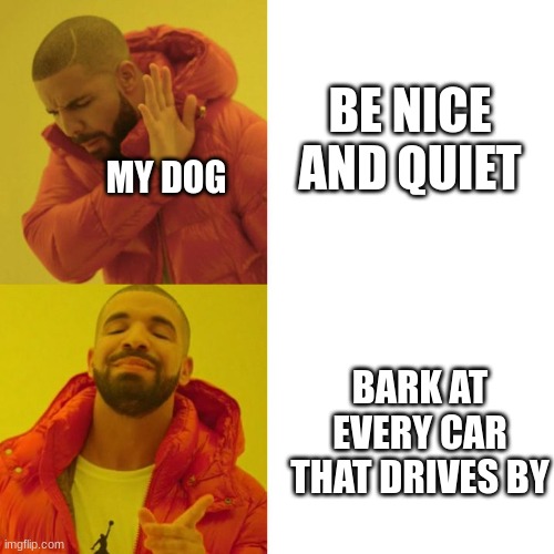 Drake Blank | BE NICE AND QUIET; MY DOG; BARK AT EVERY CAR THAT DRIVES BY | image tagged in drake blank | made w/ Imgflip meme maker