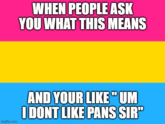 Pansexual | WHEN PEOPLE ASK YOU WHAT THIS MEANS; AND YOUR LIKE " UM I DONT LIKE PANS SIR" | image tagged in pansexual flag | made w/ Imgflip meme maker