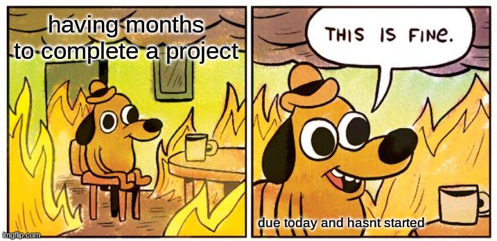 Procrastination at its finest | having months to complete a project; due today and hasnt started | image tagged in memes,this is fine | made w/ Imgflip meme maker