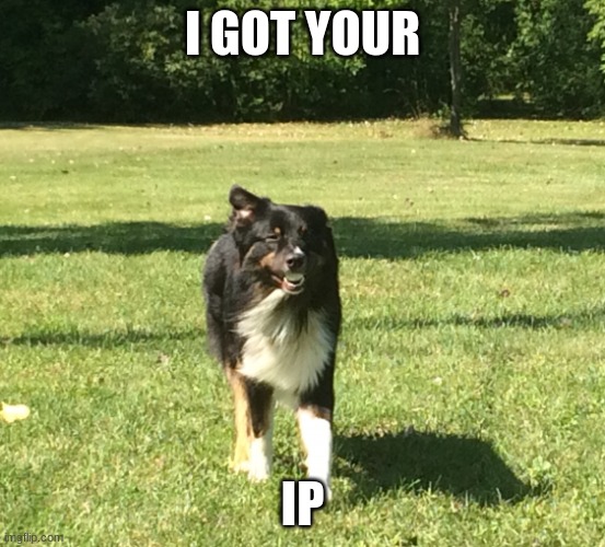I got your Ball | I GOT YOUR IP | image tagged in i got your ball | made w/ Imgflip meme maker