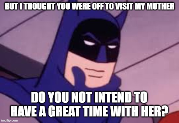 BUT I THOUGHT YOU WERE OFF TO VISIT MY MOTHER DO YOU NOT INTEND TO HAVE A GREAT TIME WITH HER? | made w/ Imgflip meme maker