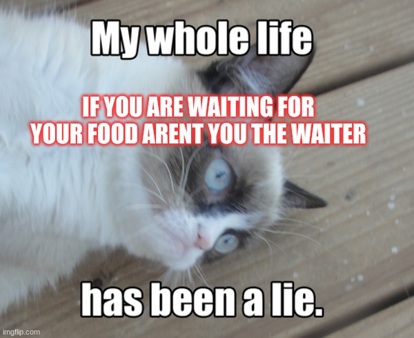 funny | IF YOU ARE WAITING FOR YOUR FOOD ARENT YOU THE WAITER | image tagged in memes | made w/ Imgflip meme maker