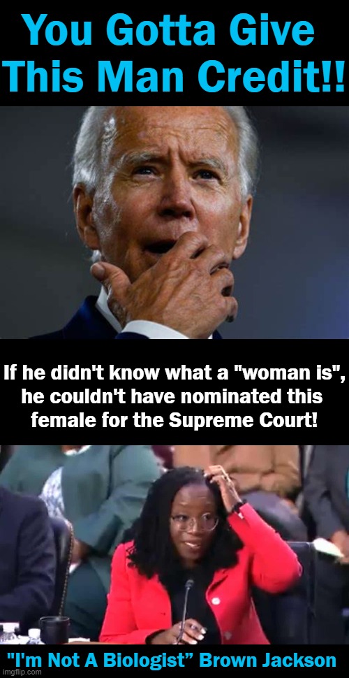 FINALLY Someone Besides Kamala Is Making Joe Appear "Smart"!!! | You Gotta Give 
This Man Credit!! If he didn't know what a "woman is",
he couldn't have nominated this 
female for the Supreme Court! "I'm Not A Biologist” Brown Jackson; "Can you provide a definition of the word 'woman'?" | image tagged in politics,joe biden,supreme court nominee,kamala harris,intelligence,iq | made w/ Imgflip meme maker