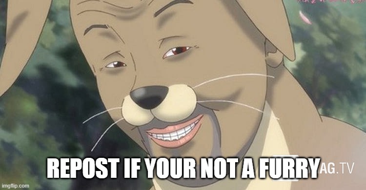 repost if your not a furry | REPOST IF YOUR NOT A FURRY | image tagged in weird anime hentai furry | made w/ Imgflip meme maker