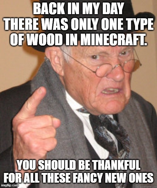Only One Type of Minecraft Wood | BACK IN MY DAY THERE WAS ONLY ONE TYPE OF WOOD IN MINECRAFT. YOU SHOULD BE THANKFUL FOR ALL THESE FANCY NEW ONES | image tagged in memes,back in my day | made w/ Imgflip meme maker
