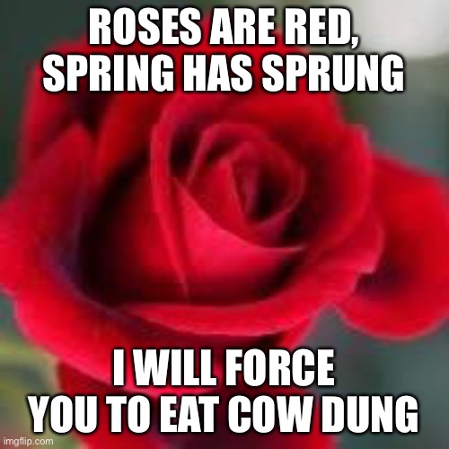 noooo | ROSES ARE RED, SPRING HAS SPRUNG; I WILL FORCE YOU TO EAT COW DUNG | image tagged in roses are red | made w/ Imgflip meme maker