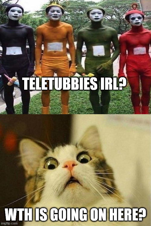 TELETUBBIES IRL? WTH IS GOING ON HERE? | image tagged in memes,scared cat | made w/ Imgflip meme maker