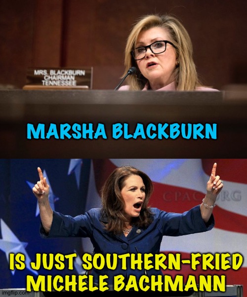Southern Fried | MARSHA BLACKBURN; IS JUST SOUTHERN-FRIED
MICHELE BACHMANN | image tagged in marsha blackburn,representative michele bachmann - bat shit crazy | made w/ Imgflip meme maker