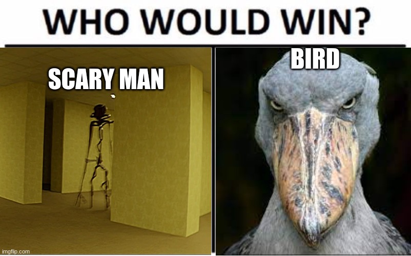 BIRD; SCARY MAN | image tagged in bird,scary man | made w/ Imgflip meme maker