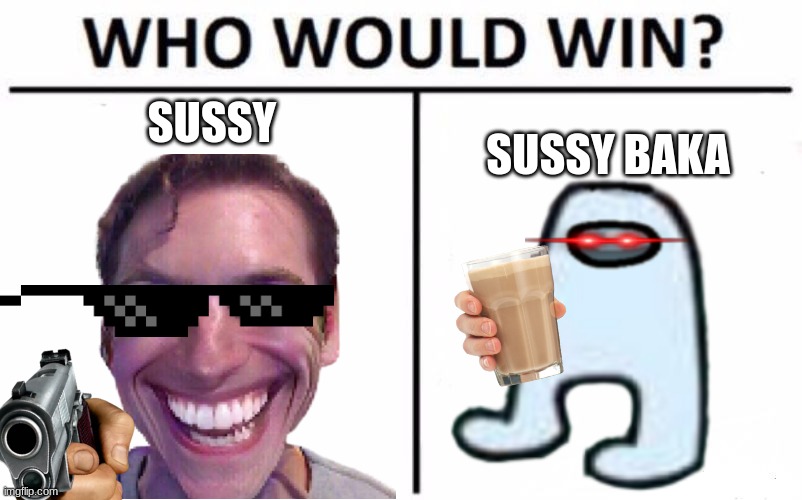 WhO iS mOrE sUsSy? | SUSSY; SUSSY BAKA | image tagged in amogus sussy | made w/ Imgflip meme maker