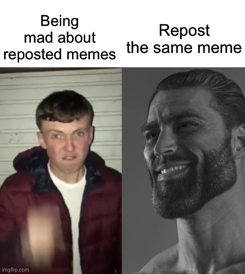 Do it | Being mad about reposted memes; Repost the same meme | image tagged in average fan vs average enjoyer | made w/ Imgflip meme maker