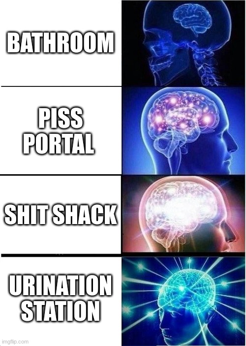 bathroom names | BATHROOM; PISS PORTAL; SHIT SHACK; URINATION STATION | image tagged in memes,expanding brain | made w/ Imgflip meme maker