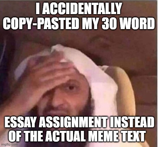 Leftist memers be like: | I ACCIDENTALLY COPY-PASTED MY 30 WORD; ESSAY ASSIGNMENT INSTEAD OF THE ACTUAL MEME TEXT | image tagged in leftists | made w/ Imgflip meme maker
