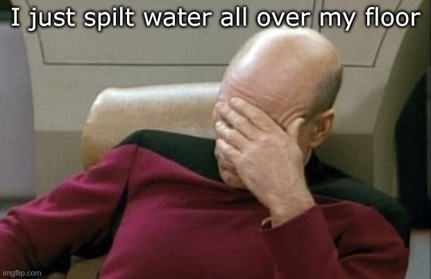 srs | I just spilt water all over my floor | image tagged in memes,captain picard facepalm | made w/ Imgflip meme maker