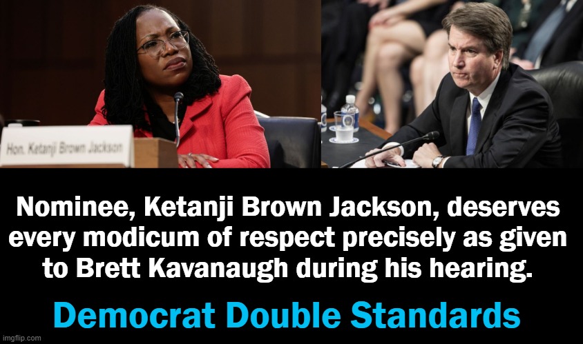 If Democrats Didn't Have Double Standards, They Would Have No Standards At All.... | Nominee, Ketanji Brown Jackson, deserves 
every modicum of respect precisely as given 
to Brett Kavanaugh during his hearing. Democrat Double Standards | image tagged in politics,democrats,double standards,irony,hypocrisy,liberals | made w/ Imgflip meme maker