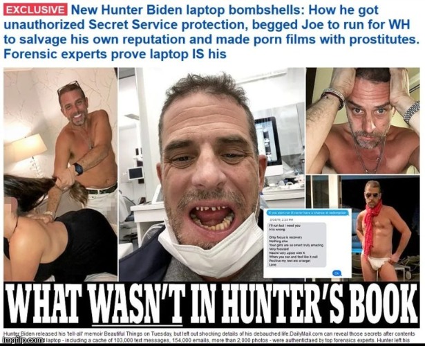 Hunter Biden newspaper | image tagged in hunter biden newspaper | made w/ Imgflip meme maker