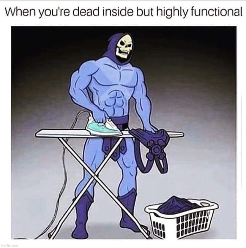 Dead inside but highly functional | image tagged in dead inside but highly functional | made w/ Imgflip meme maker