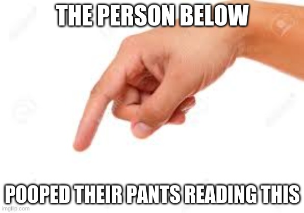 the person below | THE PERSON BELOW; POOPED THEIR PANTS READING THIS | image tagged in the person below | made w/ Imgflip meme maker