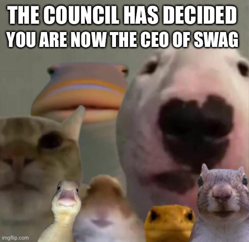 The council hath decided | THE COUNCIL HAS DECIDED; YOU ARE NOW THE CEO OF SWAG | image tagged in the council remastered,wholesome | made w/ Imgflip meme maker