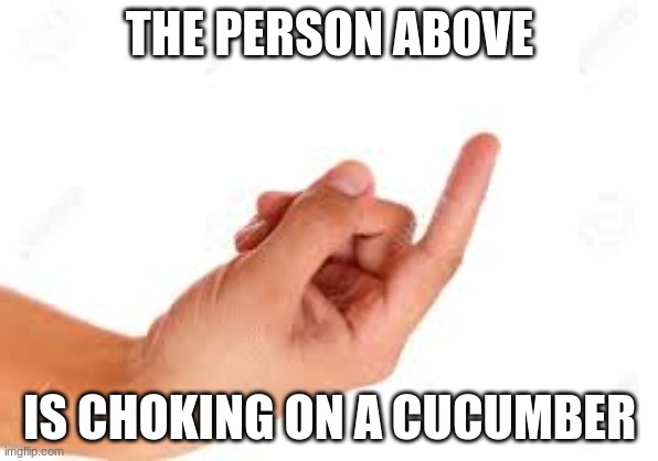 the person below | THE PERSON ABOVE; IS CHOKING ON A CUCUMBER | image tagged in the person below | made w/ Imgflip meme maker