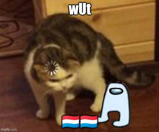 Loading cat | wUt; 🇱🇺🇱🇺 | image tagged in loading cat | made w/ Imgflip meme maker