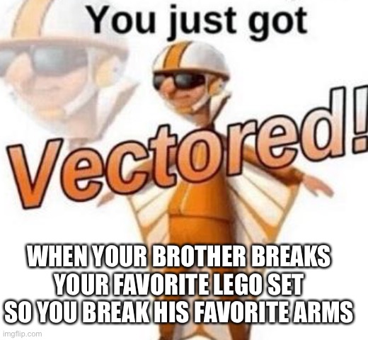 You just got vectored | WHEN YOUR BROTHER BREAKS YOUR FAVORITE LEGO SET SO YOU BREAK HIS FAVORITE ARMS | image tagged in you just got vectored | made w/ Imgflip meme maker