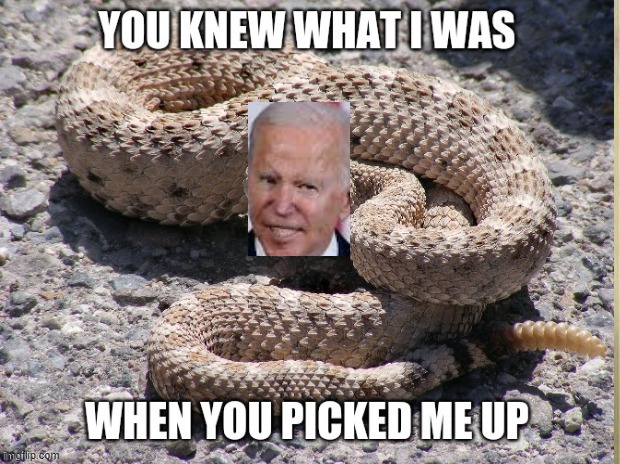 You Knew What I was | image tagged in joe biden | made w/ Imgflip meme maker