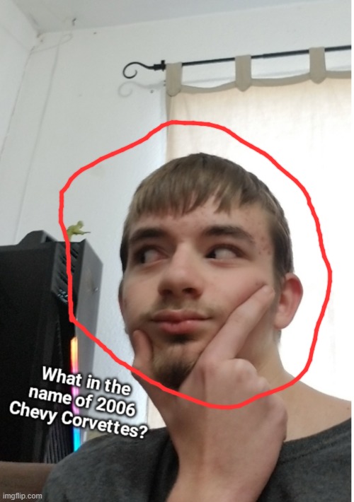 What in the name of 2006 chevy corvettes | image tagged in what in the name of 2006 chevy corvettes | made w/ Imgflip meme maker