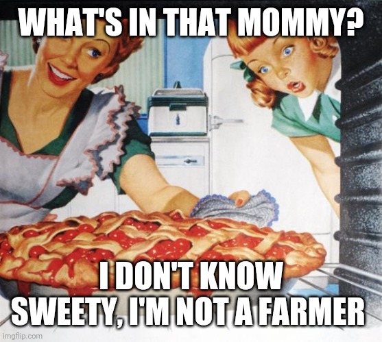 50's Wife cooking cherry pie | WHAT'S IN THAT MOMMY? I DON'T KNOW SWEETY, I'M NOT A FARMER | image tagged in 50's wife cooking cherry pie | made w/ Imgflip meme maker