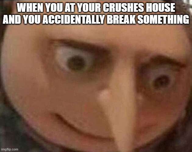 gru meme | WHEN YOU AT YOUR CRUSHES HOUSE AND YOU ACCIDENTALLY BREAK SOMETHING | image tagged in gru meme | made w/ Imgflip meme maker