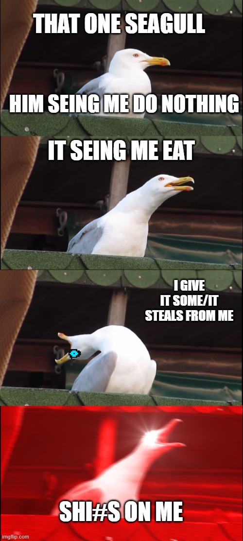 Inhaling Seagull | THAT ONE SEAGULL; HIM SEING ME DO NOTHING; IT SEING ME EAT; I GIVE IT SOME/IT STEALS FROM ME; SHI#S ON ME | image tagged in memes,inhaling seagull | made w/ Imgflip meme maker