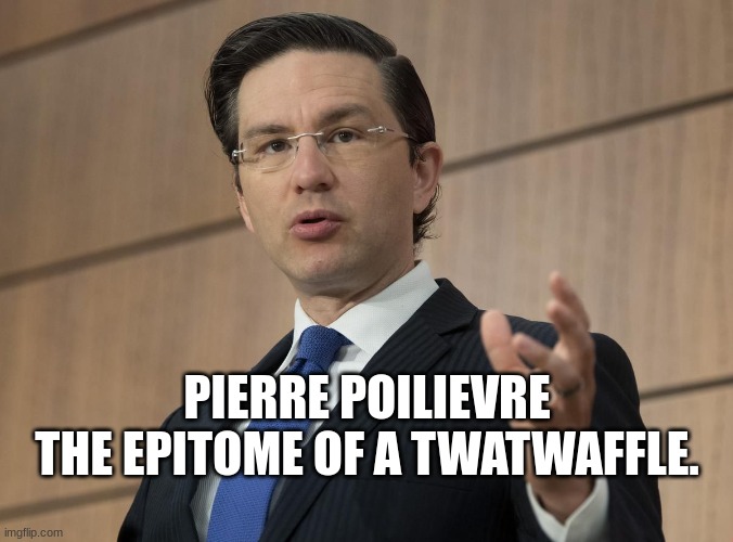PIERRE POILIEVRE
THE EPITOME OF A TWATWAFFLE. | image tagged in canadian politics | made w/ Imgflip meme maker