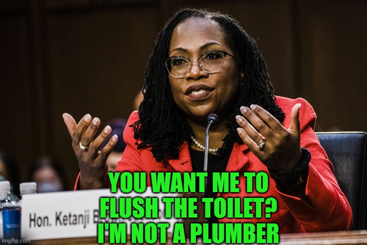 Not the brightest bulb, this one. | YOU WANT ME TO FLUSH THE TOILET? I'M NOT A PLUMBER | image tagged in ketanji brown jackson | made w/ Imgflip meme maker