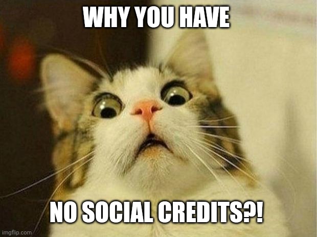 Scared Cat | WHY YOU HAVE; NO SOCIAL CREDITS?! | image tagged in memes,scared cat | made w/ Imgflip meme maker