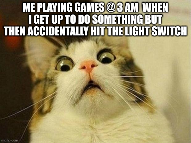 dadadadadadadadada deeeeeez nuts | ME PLAYING GAMES @ 3 AM  WHEN I GET UP TO DO SOMETHING BUT THEN ACCIDENTALLY HIT THE LIGHT SWITCH | image tagged in memes,scared cat | made w/ Imgflip meme maker