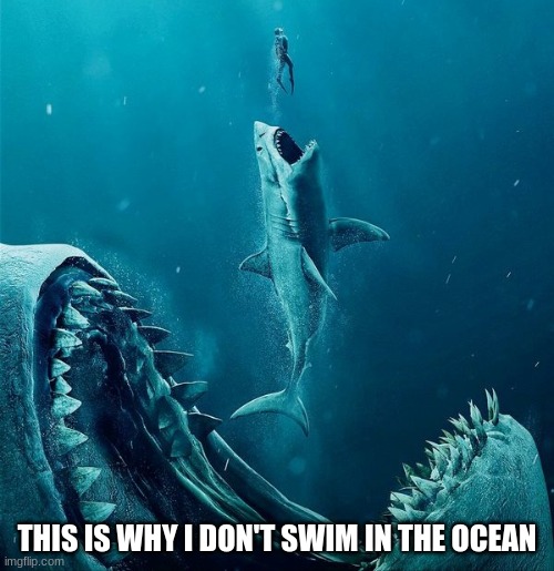 always a bigger shark | THIS IS WHY I DON'T SWIM IN THE OCEAN | image tagged in always a bigger shark | made w/ Imgflip meme maker