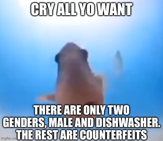 Fish | CRY ALL YO WANT; THERE ARE ONLY TWO GENDERS, MALE AND DISHWASHER.
THE REST ARE COUNTERFEITS | image tagged in fish | made w/ Imgflip meme maker