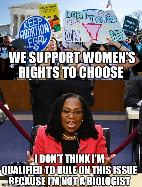  WE SUPPORT WOMEN’S RIGHTS TO CHOOSE; I DON’T THINK I’M QUALIFIED TO RULE ON THIS ISSUE BECAUSE I’M NOT A BIOLOGIST | image tagged in abortion rights,ketanji brown jackson | made w/ Imgflip meme maker